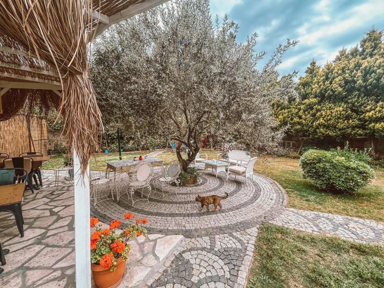 Eden Selene Hotel Ayvalı Exteriér fotografie