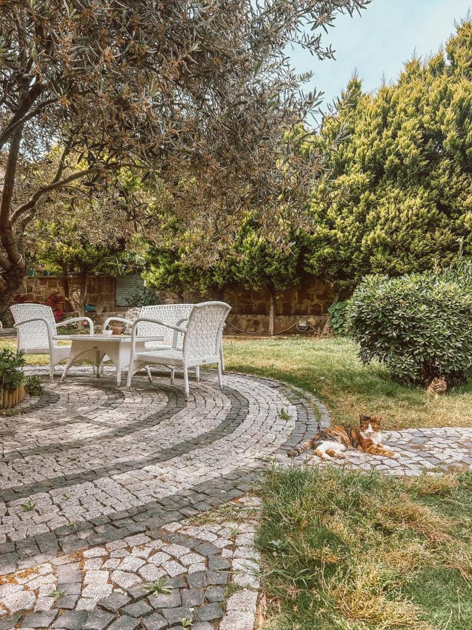 Eden Selene Hotel Ayvalı Exteriér fotografie